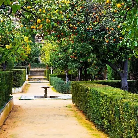 Il Dolce Rifugio דירה סורנטו